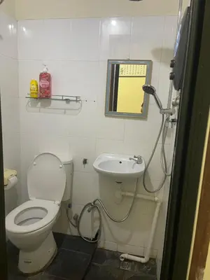 a bathroom with a toilet and a sink at Pearl Heritage Guesthouse in George Town