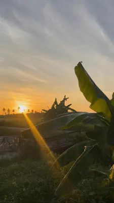 a field with the sun setting in the background at TeeDo Zzz in Parit Buntar