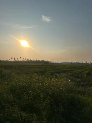 a field of grass with the sun in the sky at TeeDo Zzz in Parit Buntar