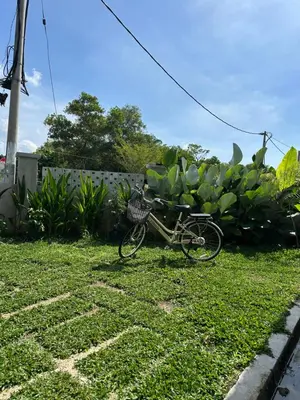 a bike parked in the grass in a yard at Eryna Homestay in Nibung Tebal