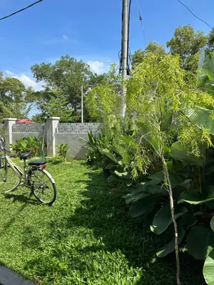 a bike parked in the grass next to a tree at Eryna Homestay in Nibung Tebal