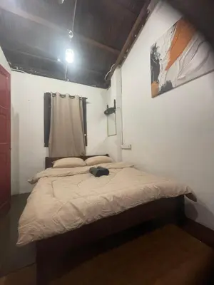 a cat laying on a bed in a room at Pearl Heritage Homestay in George Town