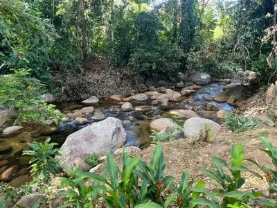 a stream in a forest with rocks and trees at Desa Ibol Cottage and River - Max 10Pax