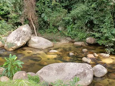 a stream of water with rocks and trees at Desa Ibol Cottage and River - Max 10Pax