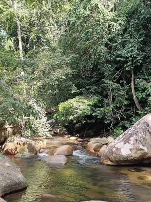 a stream of water with rocks in a forest at Desa Ibol Cottage and River - Max 10Pax
