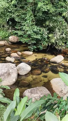 a stream of water with rocks and plants at Desa Ibol Cottage and River - Max 10Pax