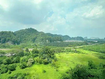 an aerial view of a green field with trees at The Anderson Cozy Deluxe Homestay in Ipoh