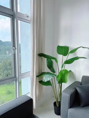 a living room with a plant in front of a window at The Anderson Cozy Deluxe Homestay in Ipoh