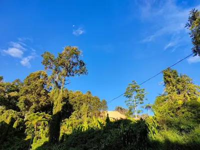 a blue sky with trees in the foreground at PAS Homstay CH 2026 in Tanah Rata