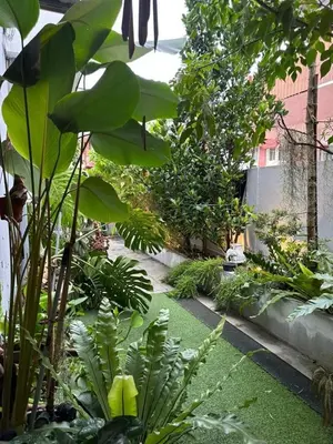 a garden with lush green plants and grass at The Eve Homestay in Tanjung Bungah