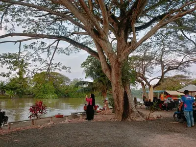 two people standing under a tree next to a river at Kota Emas Homestay -in Sarang Semut, Kedah in Gua Sai