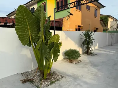 a plant in front of a building next to a building at Green Living Homestay Bercham 8 Pax in Ipoh