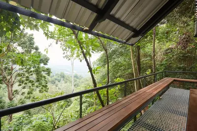 a tree house in the forest at Stunning Mountain View Lodge with Pool Lauhaus2 in Kuala Kubu Baharu