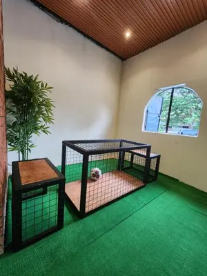 a room with a dog in a cage at Sun Pista Home by Ipoh Maju Stay in Ipoh