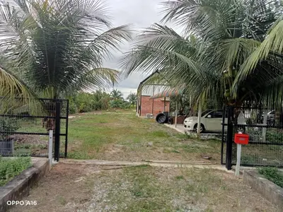a yard with two palm trees and a fence at Tepian Sawah Semanggol in Simpang Ampat Semanggol