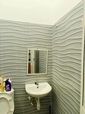 a bathroom with a sink and a mirror at Scafie apartment 001