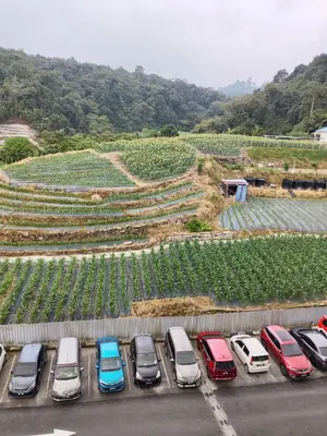 a group of cars parked in a parking lot next to a vineyard at RIADAH DALAM IBADAH by Rumah Che Matsunami in Brinchang