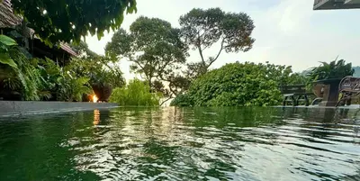 a pool of water with trees and a bench at Bao Sheng Durian Farm in Balik Pulau