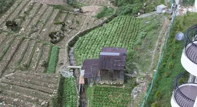 an aerial view of a house in a field at Rose Apartment Kea Farm in Cameron Highlands