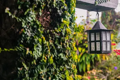 a black lantern hanging from a ivy covered wall at The Smokehouse Hotel & Restaurant Cameron Highlands in Cameron Highlands