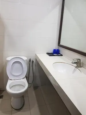 a bathroom with a toilet and a sink and a mirror at Garden Inn, Penang in George Town