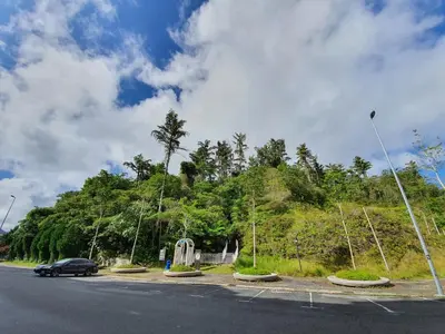 a car driving down a road next to a hill at Cameron Forest Home - Golden Hills in Cameron Highlands