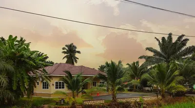 a house with palm trees and a rainbow in the sky at Homestay selinsing in Simpang Ampat Semanggol