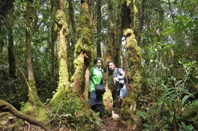 a man and woman standing in a moss covered forest at Orchid Haven in Cameron Highlands