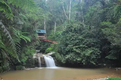 a bridge over a waterfall in a forest at Orchid Haven in Cameron Highlands