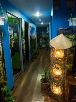 a hallway with blue walls with plants and lights at Orchid Haven in Cameron Highlands