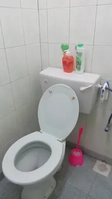 a bathroom with a white toilet with a pink brush at Taiping Vacation Homestay in Taiping