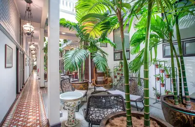 a corridor with chairs and palm trees in a building at Areca Hotel Penang in George Town