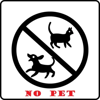 a sign with a no pet sign with a picture of a dog at Tropical Dream CH night market in Cameron Highlands