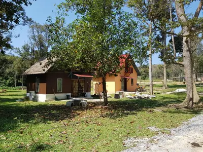 a small house in a yard with a tree at Chalet Kampong Semawar in Kuala Kangsar