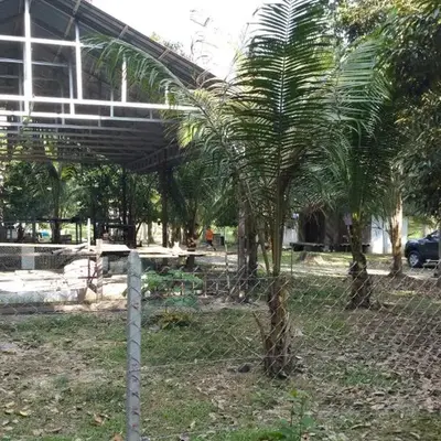 Chalet Kampong Semawar