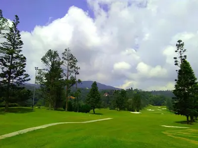 a view of a golf course with trees and a green at Golden Hill 1 Room Apt at Night Market in Cameron Highlands