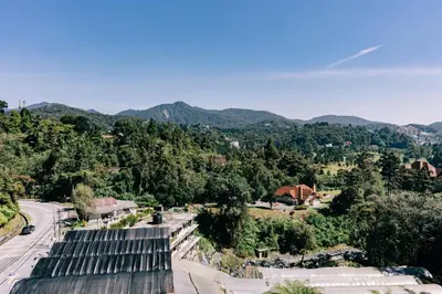 a view of a road with trees and mountains in the background at Hotel De' La Ferns, Cameron Highlands in Cameron Highlands