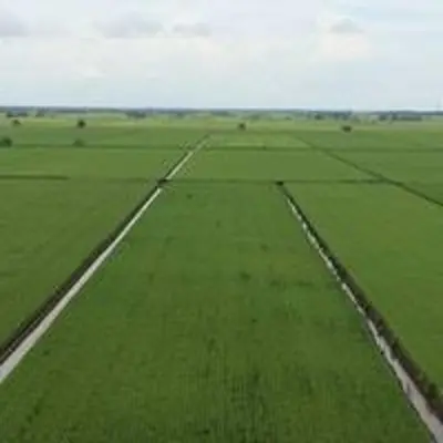 an aerial view of a large green field at The One Boutique Hotel in Sekincan