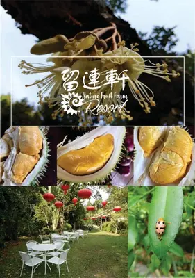 a collage of pictures of a table and chairs at Nature Fruit Farm - Private Estate in Balik Pulau