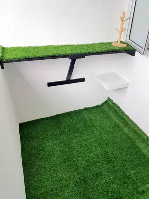 a shelf on a wall with a green rug at Triple J in Cameron Highlands