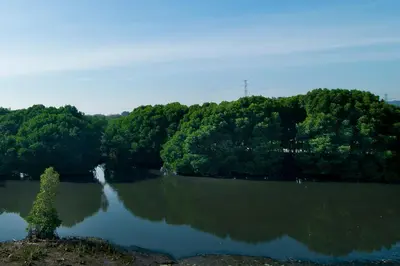 a view of a river with trees and a waterfall at Big Banana Hotel, Sg Petani in Sungai Petani