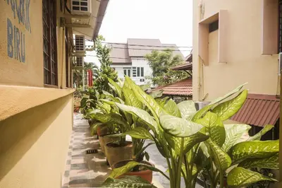 a row of plants on the side of a building at Anggerik Lodging in George Town