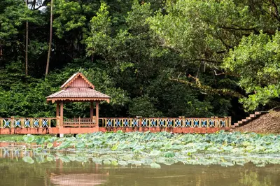 a wooden gazebo in the middle of a pond at Flemington Hotel in Taiping