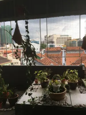 a group of potted plants sitting on a window sill at Anderson Hotel in Ipoh