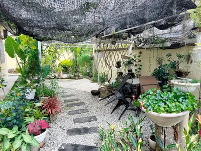 a garden with a pergola and a bunch of plants at Leisure Homestay in Kampong Peruntun