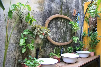 a group of potted plants on a table next to a wall at MoonTree47 in George Town