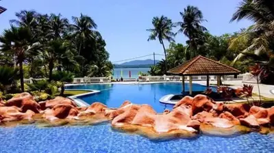 a group of cows laying in a swimming pool at The Orient Star Resort Lumut in Lumut
