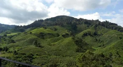 Gallery image of Primark Holiday Apartment Cameron Highlands in Brinchang