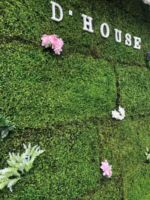 a group of flowers in the grass with the words d house at D’House in Ipoh