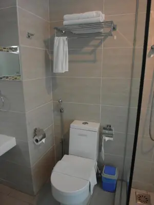 a bathroom with a white toilet and a shower at French Hotel in Ipoh